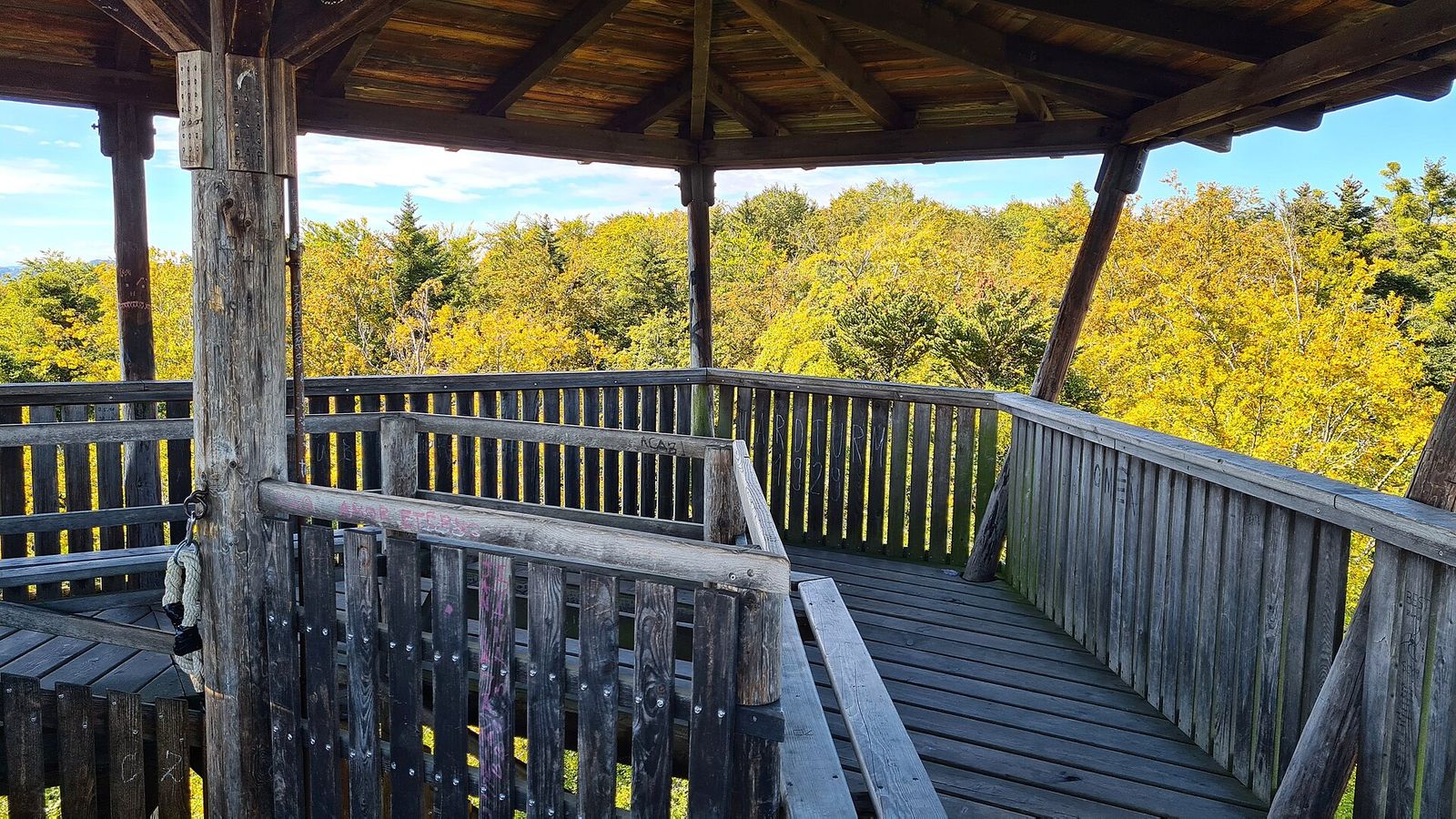 Blick von der Plattform des Aussichtsturms Loorenchopf über Wald und Stadt.