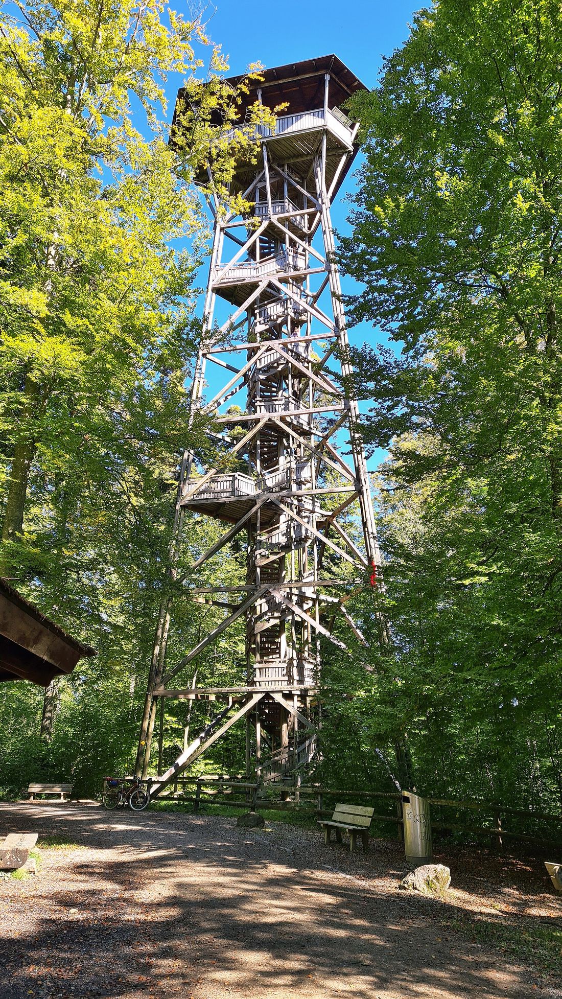 Der hölzerne Aussichtsturm Loorenchopf zwischen Buchen.